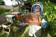 Five Un-Bee-Lieveable Celebrities Who Keep Bees!