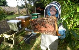 Five Un-Bee-Lieveable Celebrities Who Keep Bees!