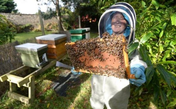 Five Un-Bee-Lieveable Celebrities Who Keep Bees!