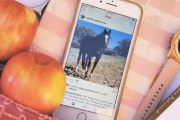 This Instagrammer Is Introducing Amazing Pictures Of Horses Into Our Instagram Feed