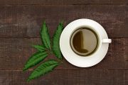 Monsoon Health Tips: How To Make Neem Tea To Prevent Seasonal Diseases