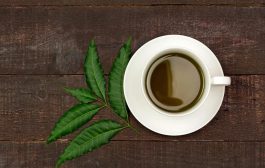 Monsoon Health Tips: How To Make Neem Tea To Prevent Seasonal Diseases
