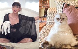 Taylor Swift’s cat is the third richest pet in the world valued at $97million