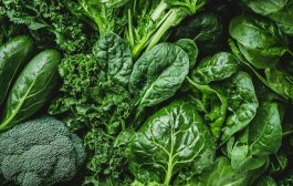 4 Non-Dairy Foods That Are Surprisingly High in Calcium, According to Dietitians