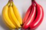 Red Banana vs Yellow Banana: Which is healthier? Full nutrition comparison of taste, benefits, and daily use