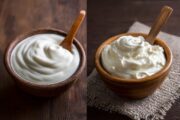 Yogurt vs Curd: Key Difference Between Bacterial Strains Explained
