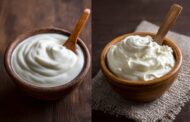 Yogurt vs Curd: Key Difference Between Bacterial Strains Explained
